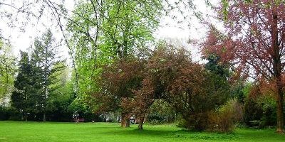Bosepark