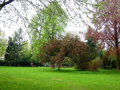 Bosepark
