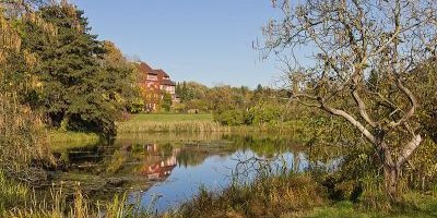 Botanischer Garten