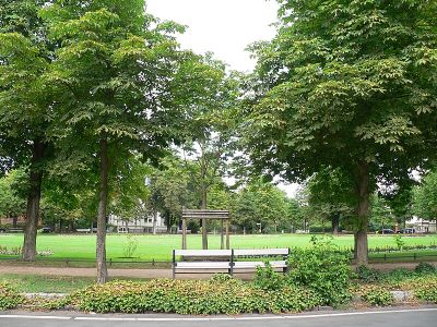 Branitzer Platz