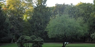Brosepark