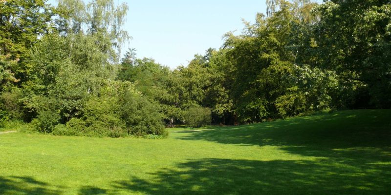 Carl-von-Ossietzky-Park