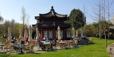 Chinesischer Garten
