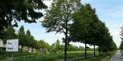 Coloniapark
