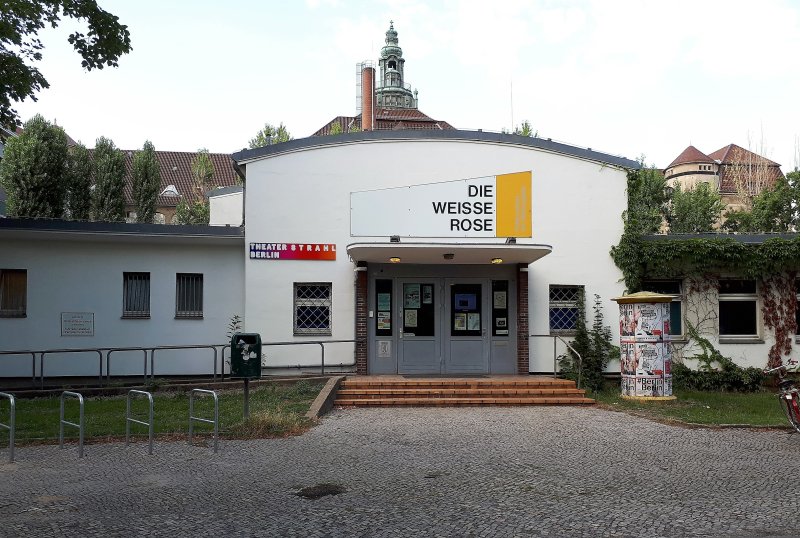 Die Weiße Rose