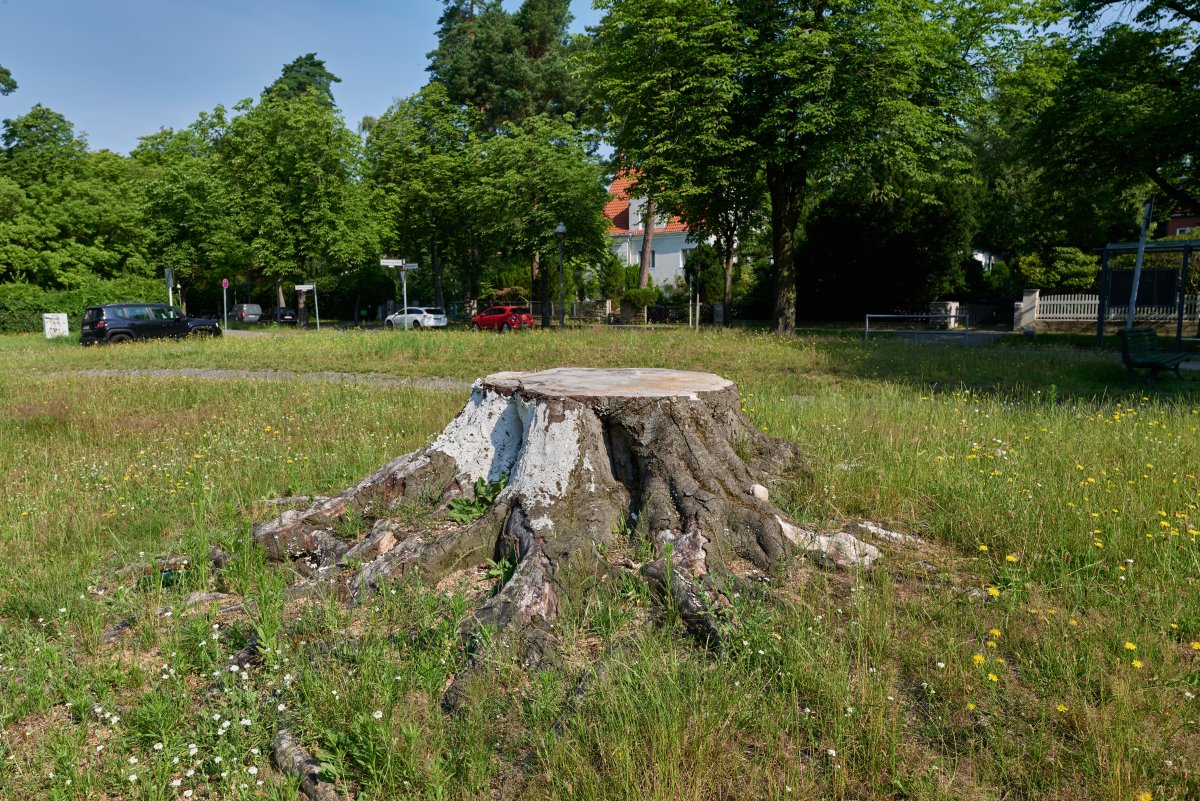 Donnersmarckplatz