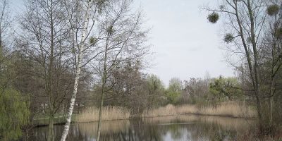 Dreipfuhlpark