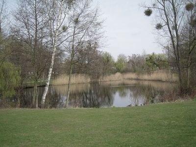 Dreipfuhlpark