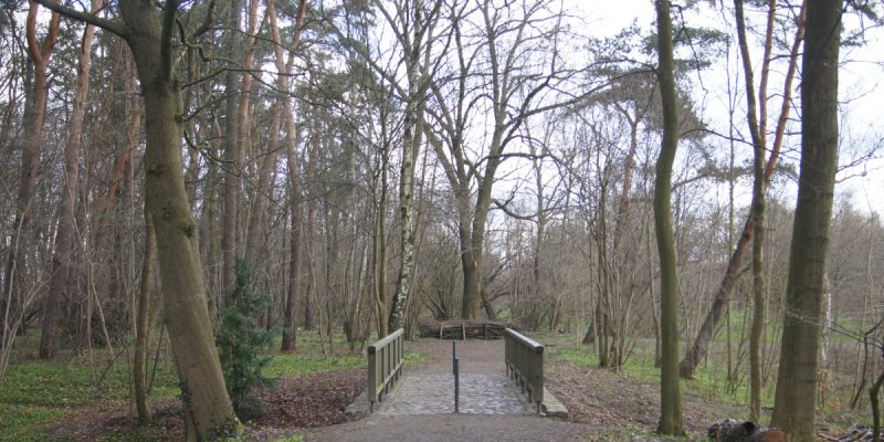 Geologische Wand