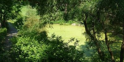 Georg-Kolbe-Hain