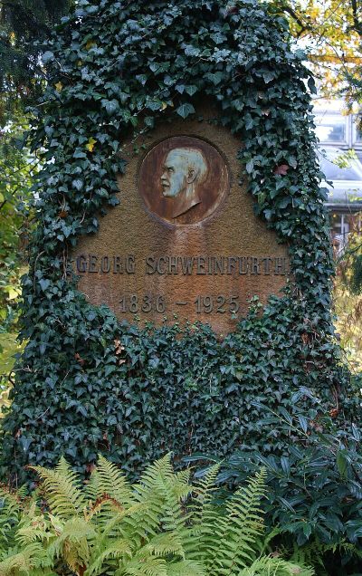 Georg Schweinfurth