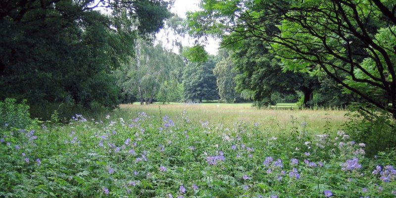 Großer Tiergarten