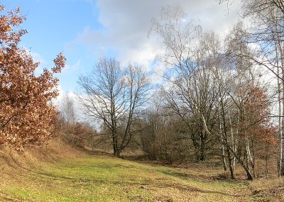 Grünauer Kreuz