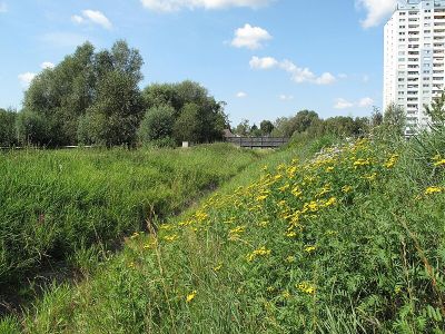 Grünzug Bullengraben (West 5)