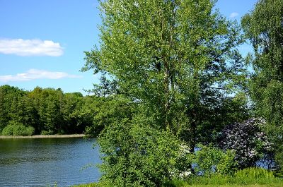 Grunewaldsee (südlicher Teil)