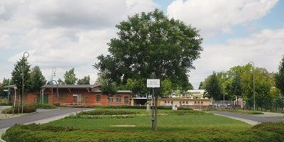 Heinrich-Grüber-Platz