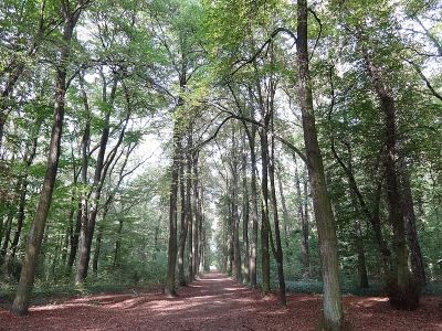 Heinrich-Laehr-Park