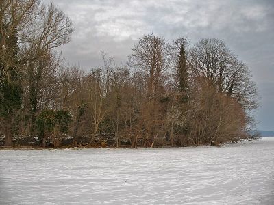 Insel Imchen bei Kladow