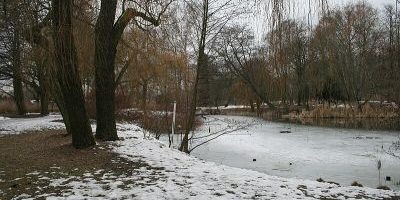 Kienhorstpark