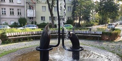Kleine Elefanten