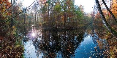 Krumme Lake Grünau