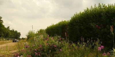 Landschaftspark Herzberge