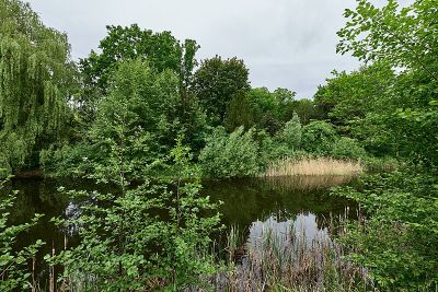 Lehnepark