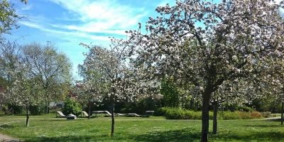 Lesegarten