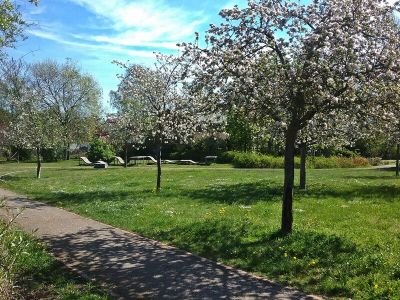 Lesegarten