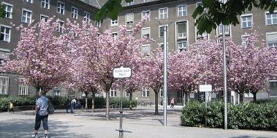 Mathilde-Jacob-Platz