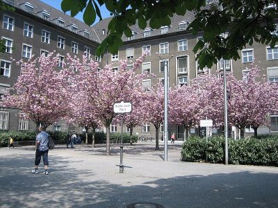 Mathilde-Jacob-Platz