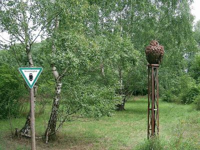 Naturpark Schöneberger Südgelände