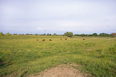 Naturschutzgebiet Falkenberger Rieselfelder