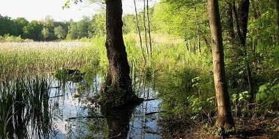 Naturschutzgebiet Fauler See