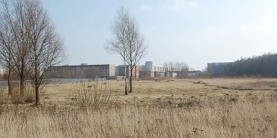 Naturschutzgebiet Unkenpfuhle Marzahn