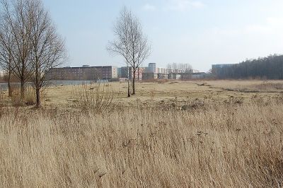 Naturschutzgebiet Unkenpfuhle Marzahn