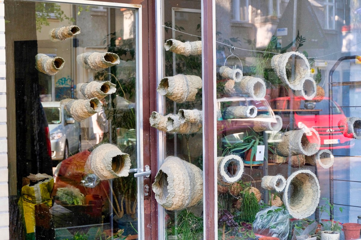 objets cherchés