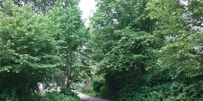 Paule-Park
