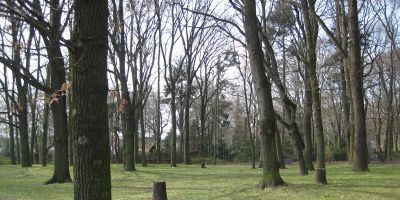 Rathauspark (Nordwest)