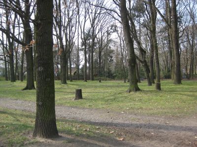 Rathauspark (Nordwest)