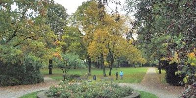 Rheinsteinpark