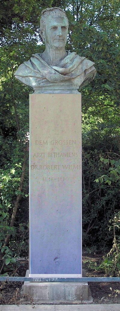 Robert Wilms