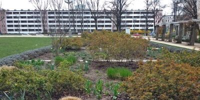 Rosengarten (Ost)