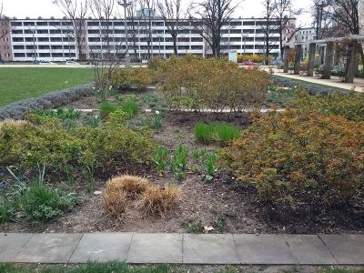 Rosengarten (Ost)