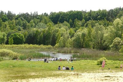 Sandgrube Im Jagen 86