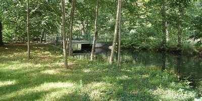 Schlosspark Buch und angrenzende Waldfläche