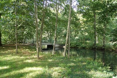 Schlosspark Buch und angrenzende Waldfläche
