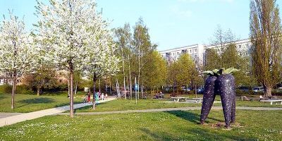 Schwarzwurzel-Park