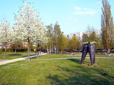 Schwarzwurzel-Park