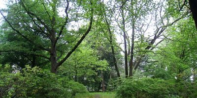 Späth-Arboretum